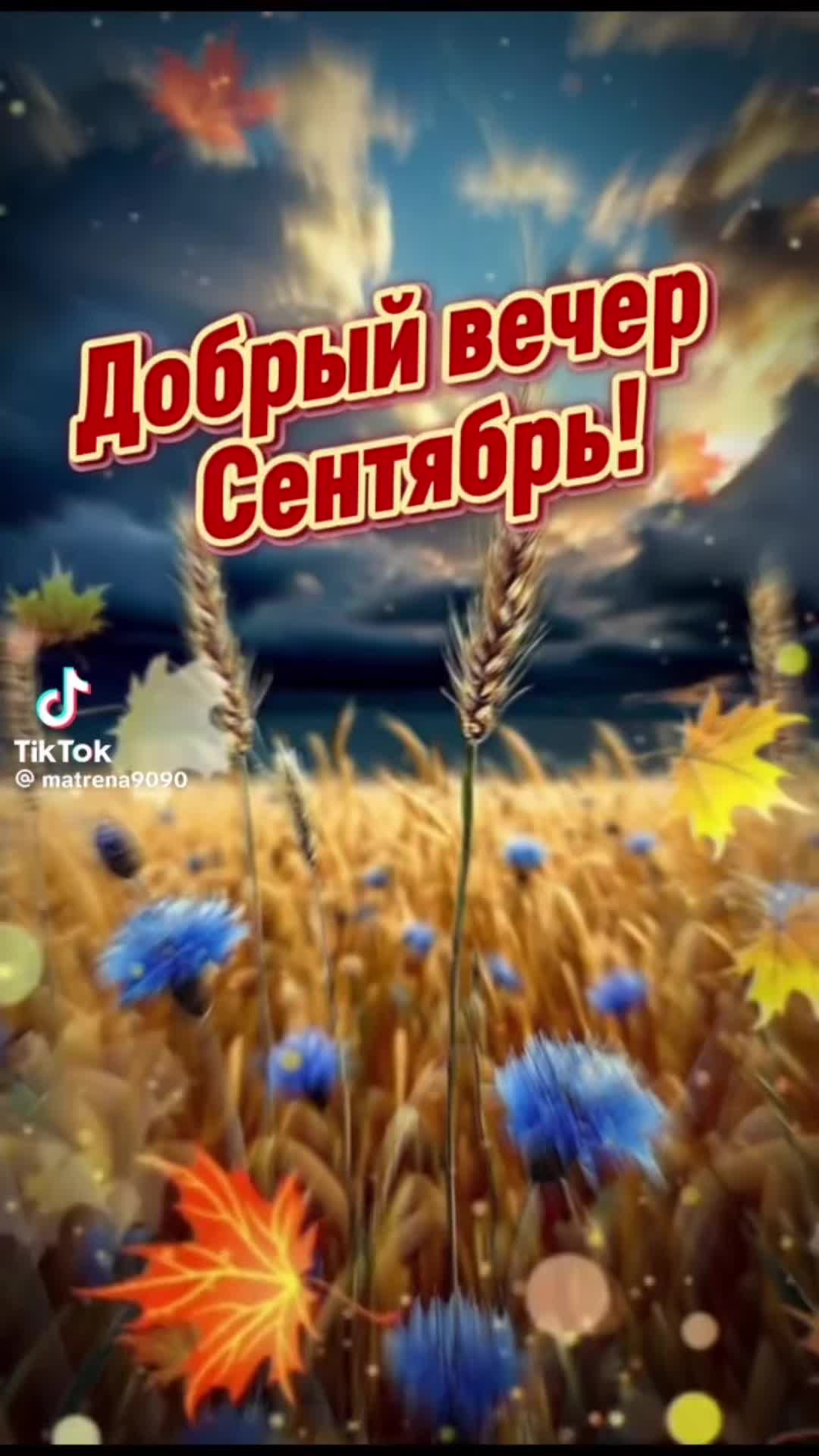 @lubava22011