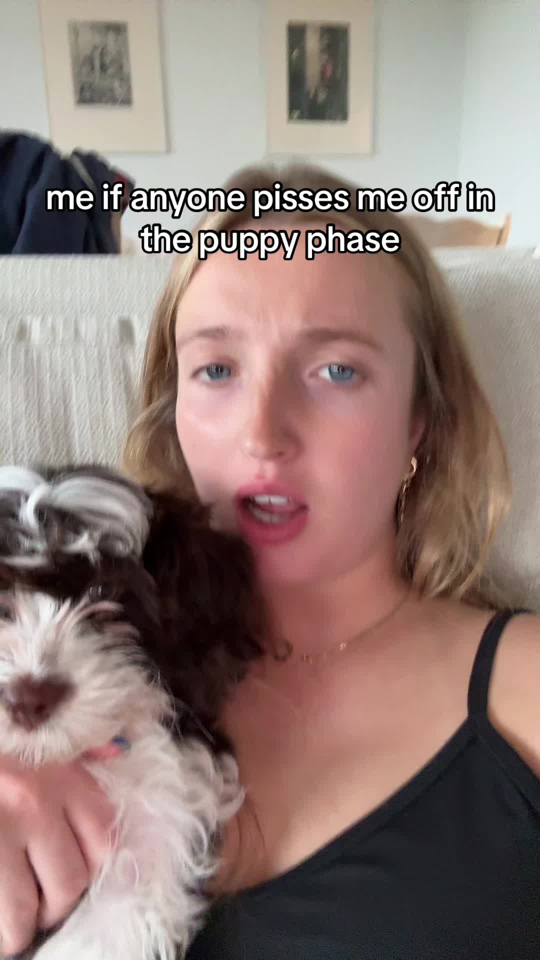 @meils