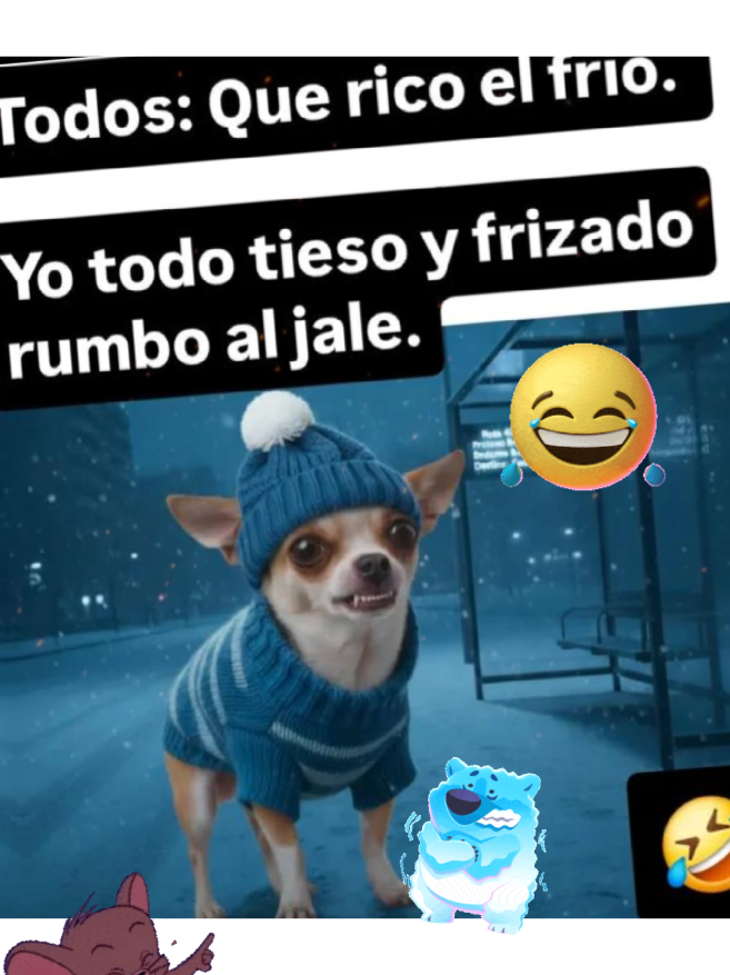 @🤣🤣🫨🤣🤣😵💫
