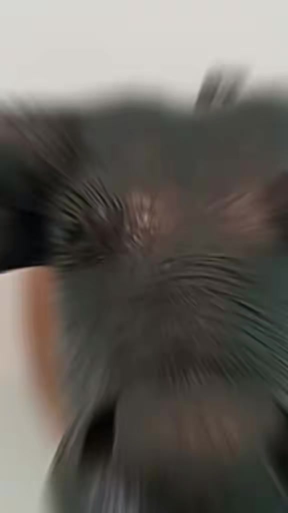 @ðKðð³ïžð
