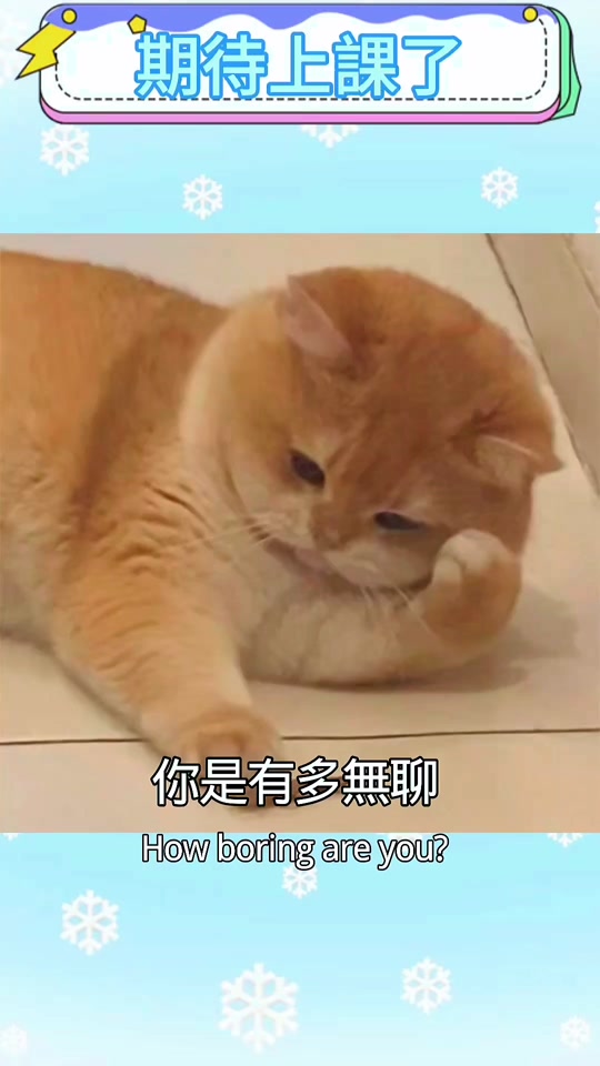 @聶禎