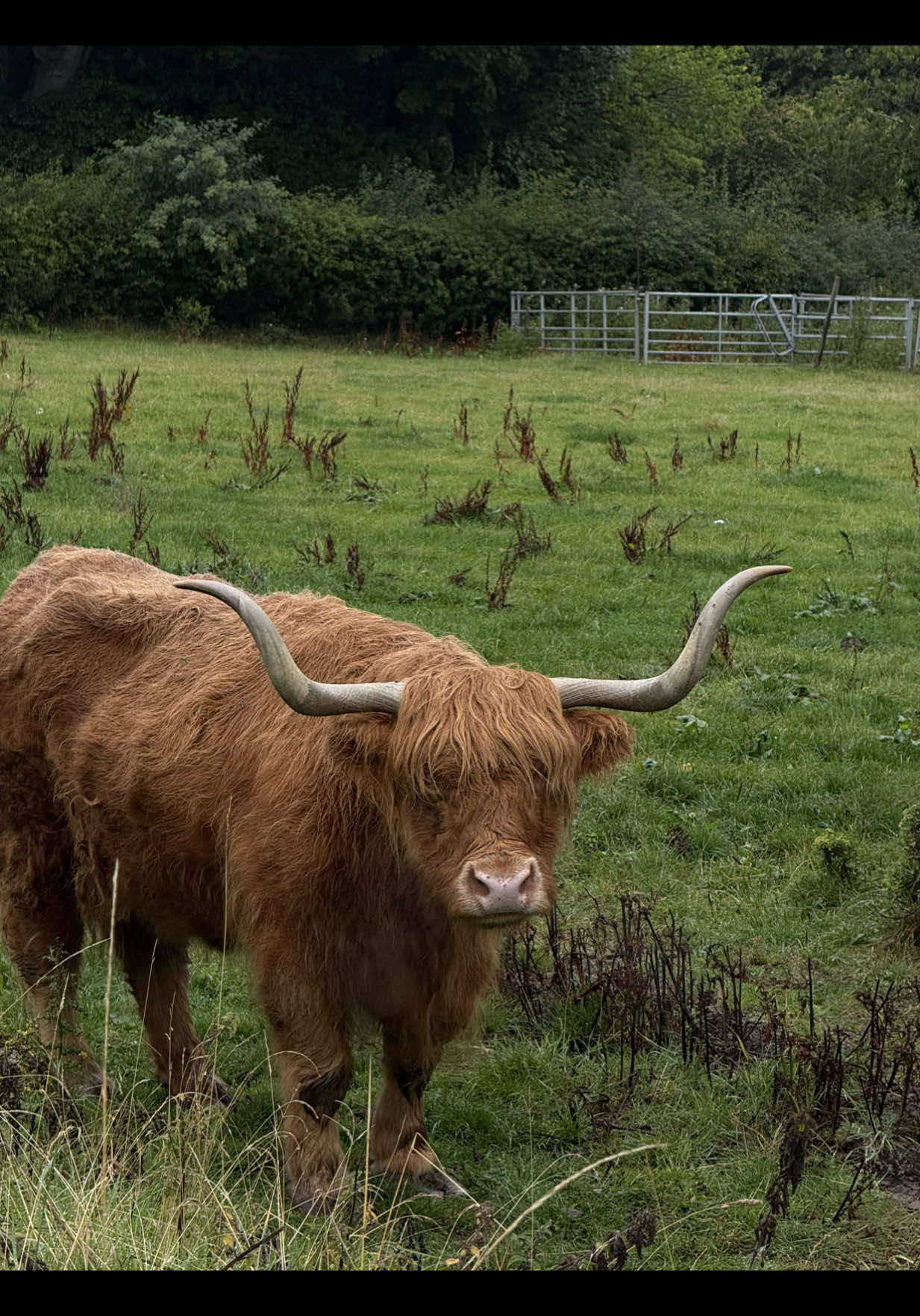 @sophia 🧸