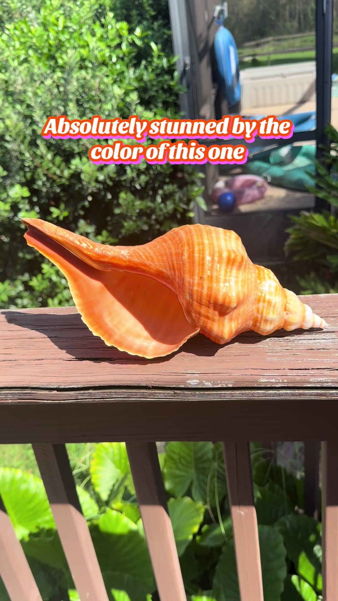 @Ashley Splashley🧜🏼♀️🌺🐚