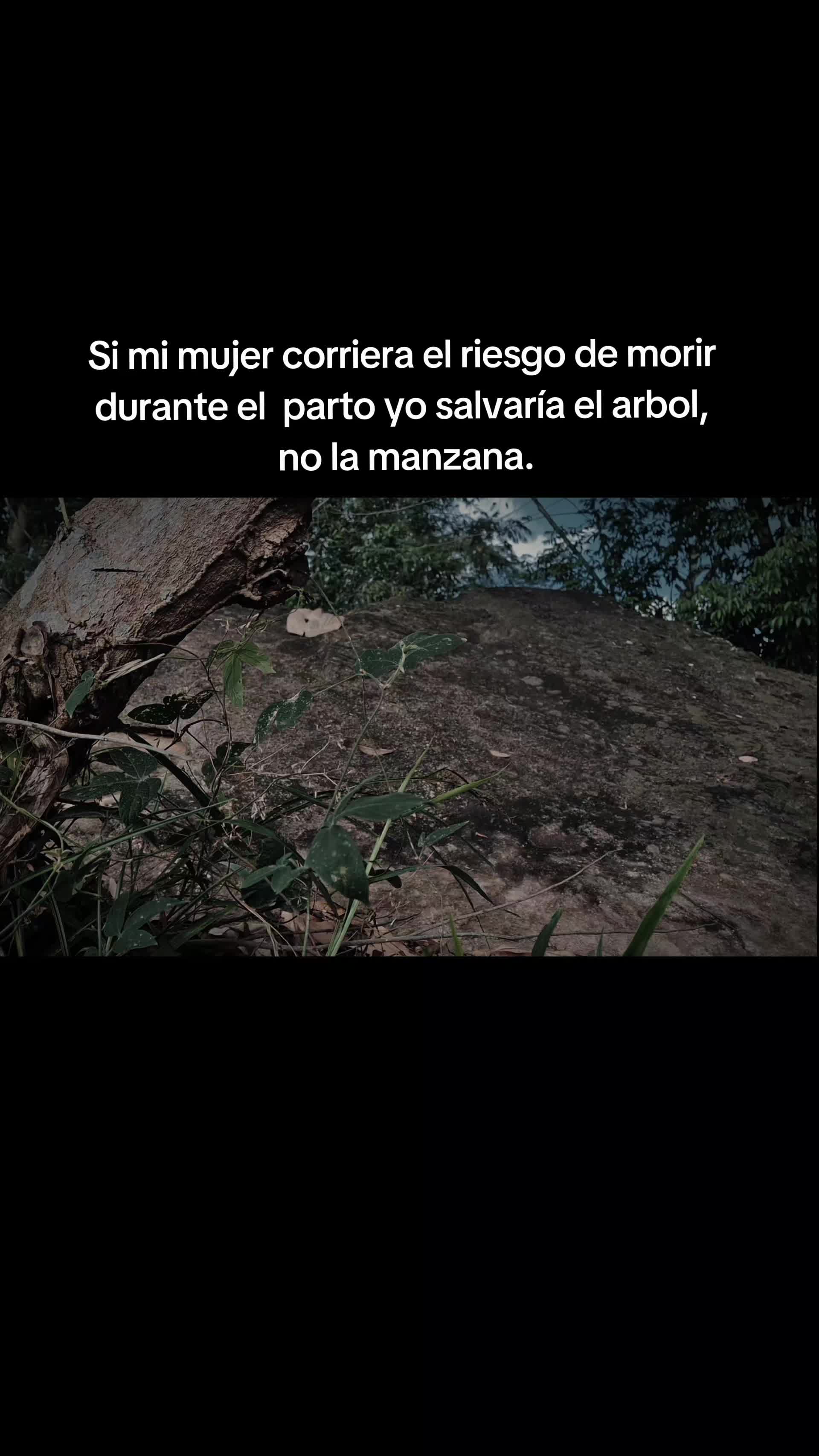 @El-Comis El Rey de la Realidad
