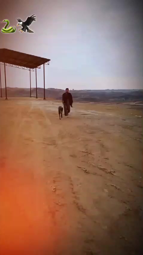 @YOUسAF♥️