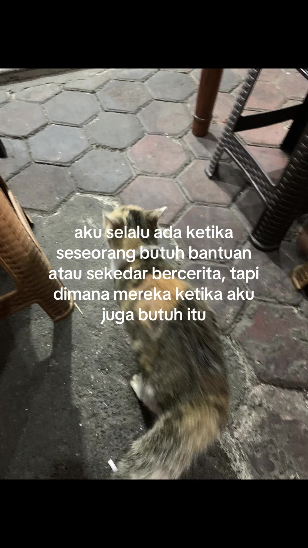 @usernotfound