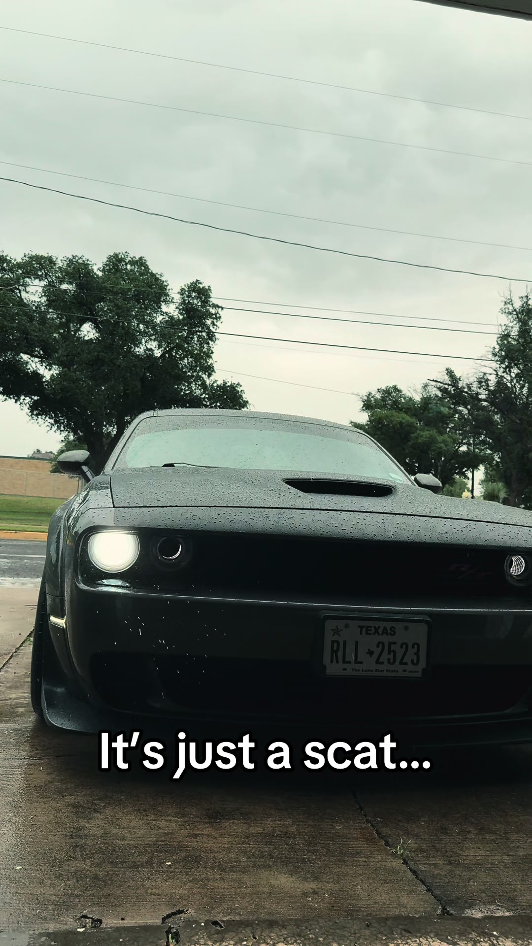 @ItsJustaCat_717