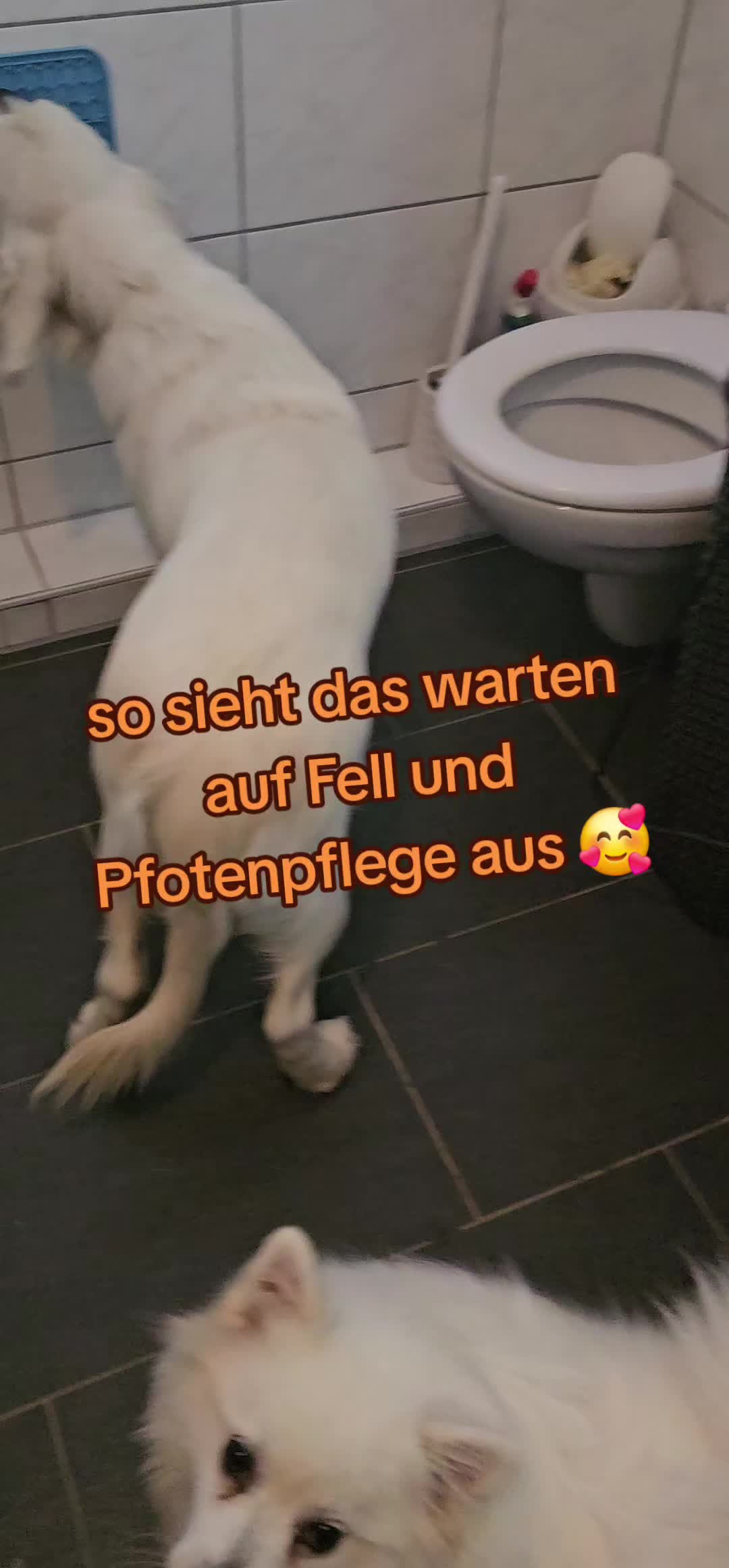 @Jennifer💕Keyla💕Angel