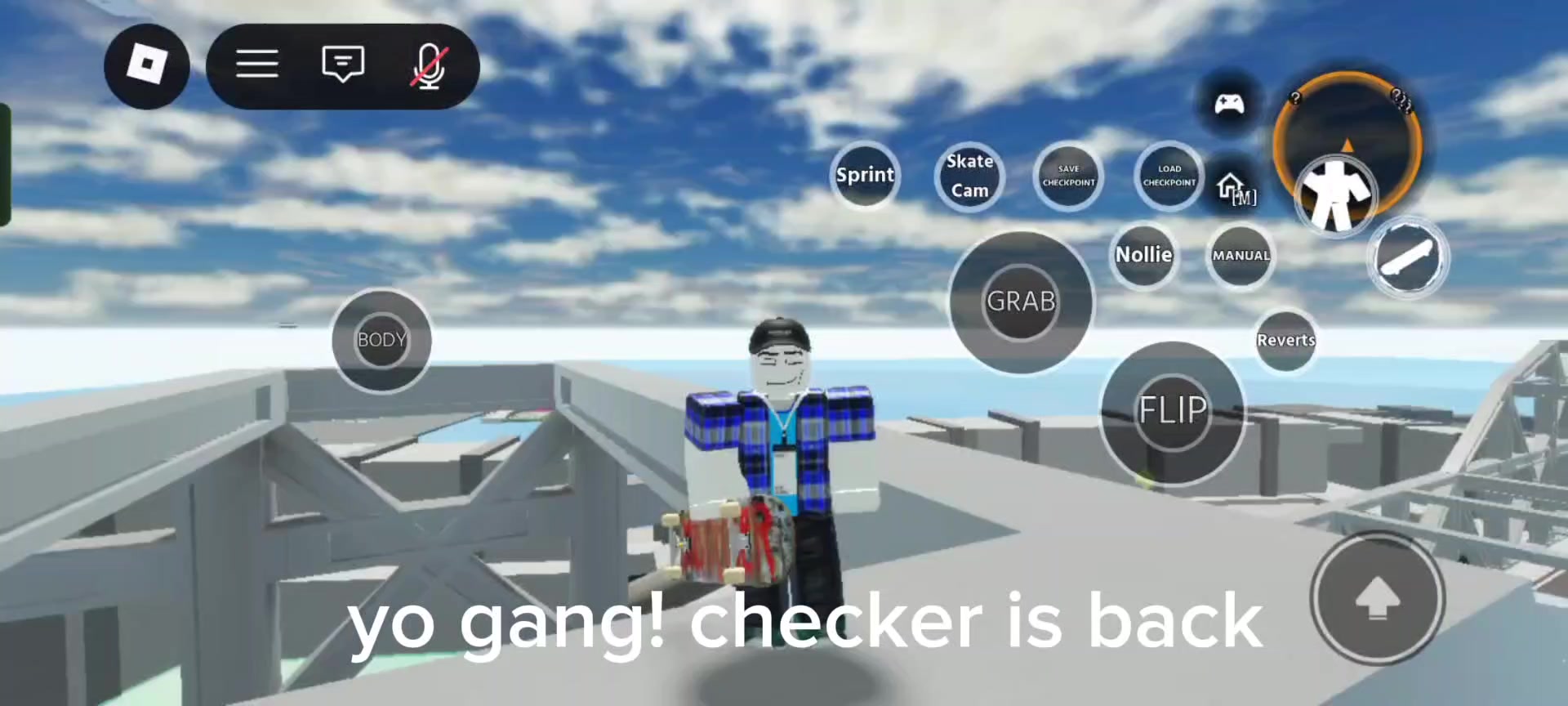 @Checker (Animator)