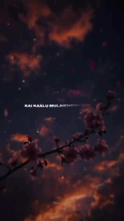@ᴍᴜꜱɪᴄ ʟʏʀɪᴄꜱ