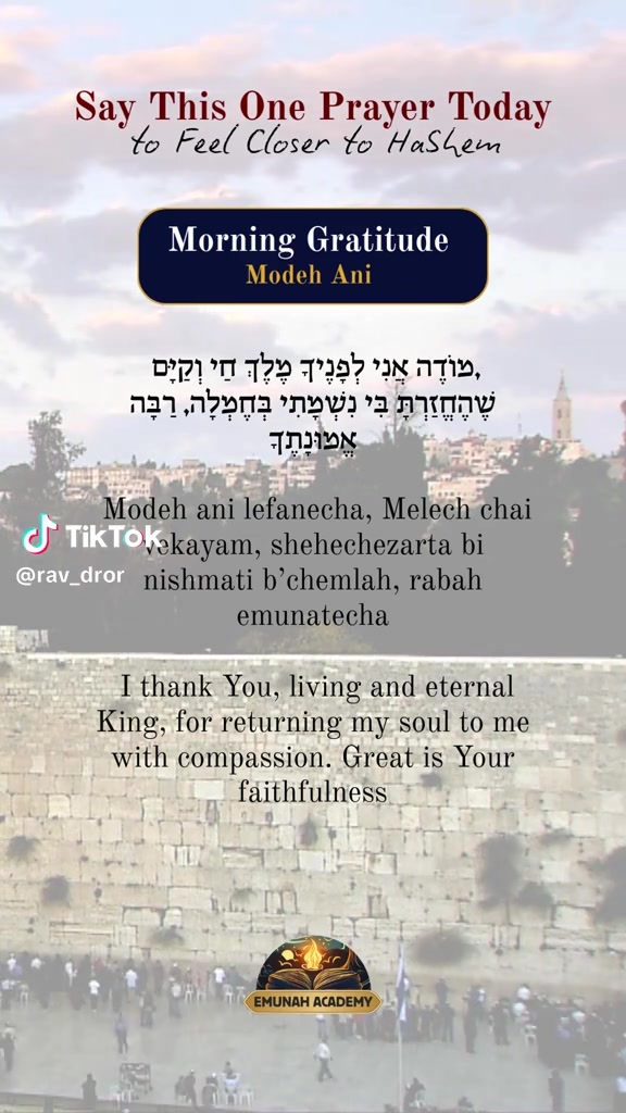 @Rav Dror