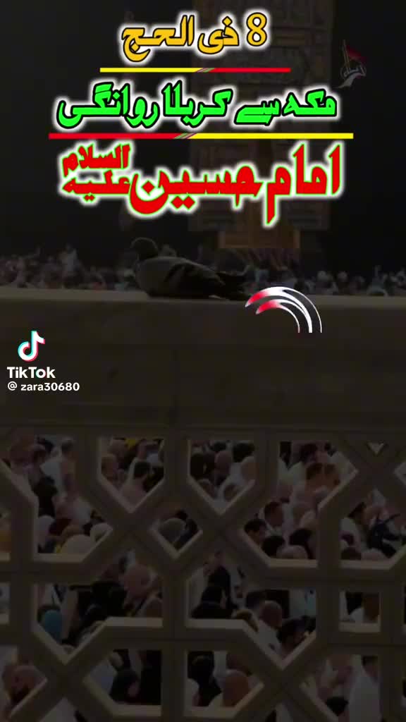 @abdullrahman66039