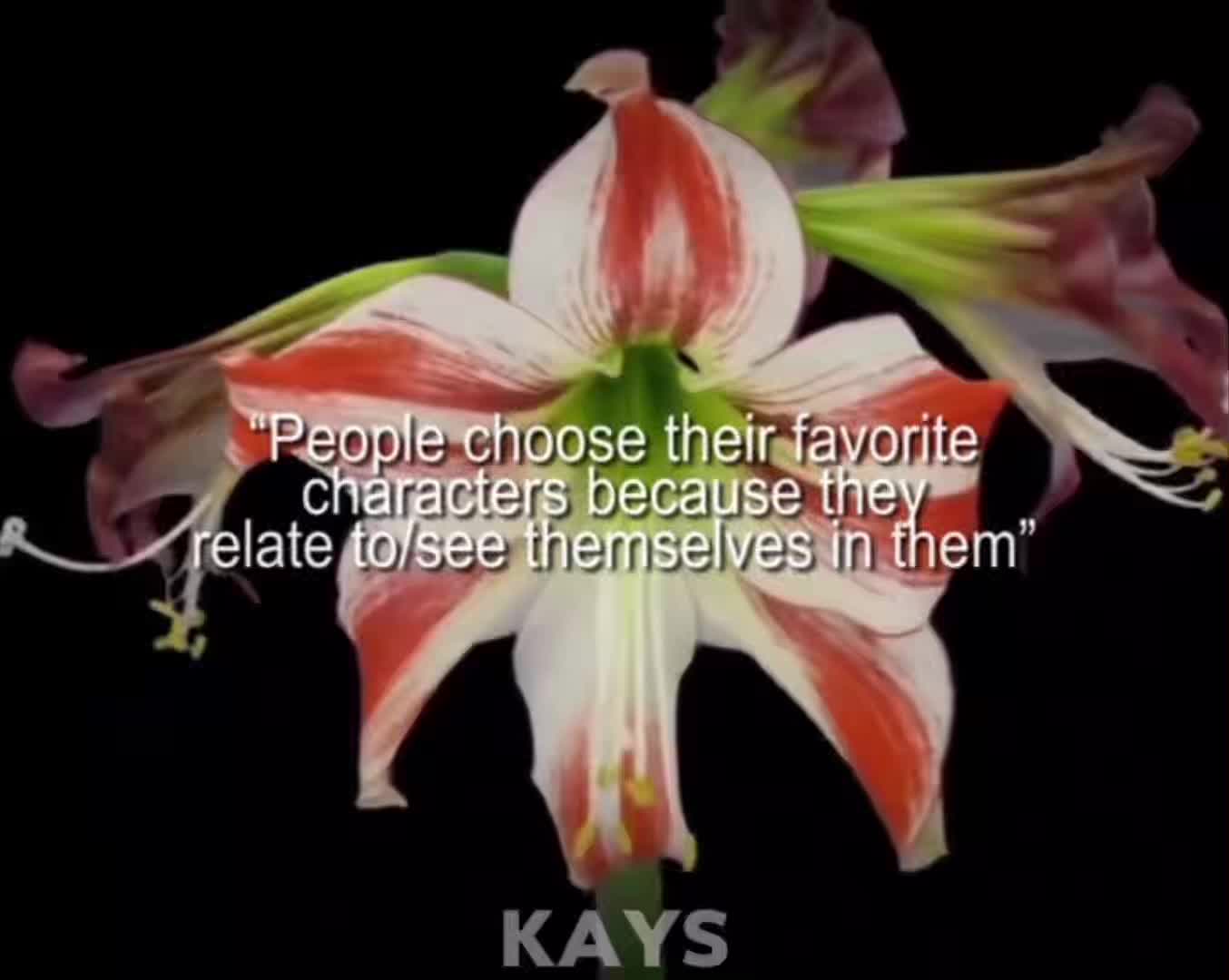 @kays !!