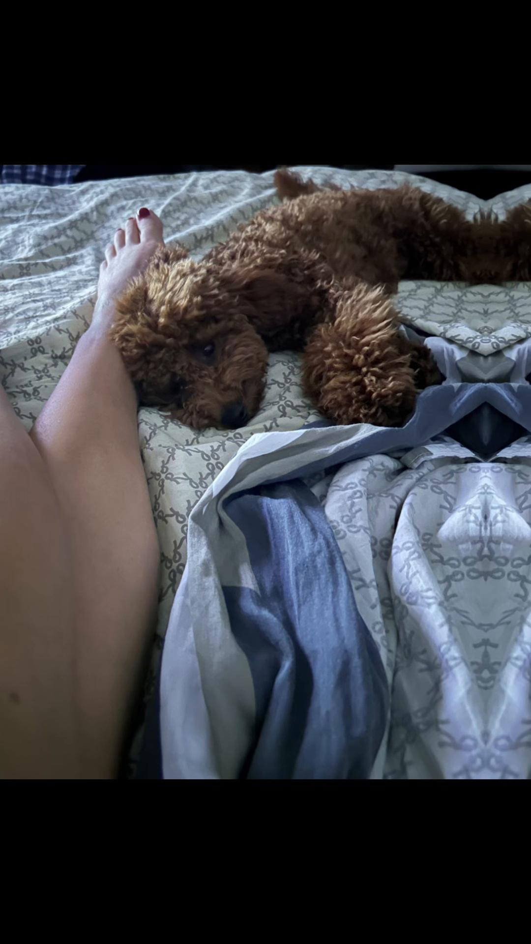 @Chiara e Rey 🐶🤎