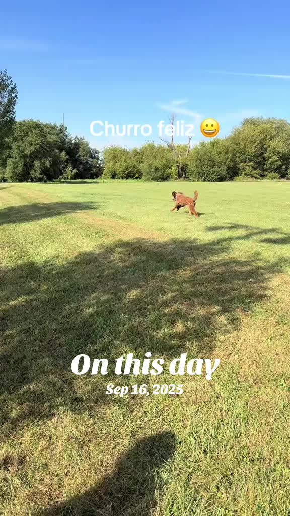 @Reyna y Churro 🐶😍
