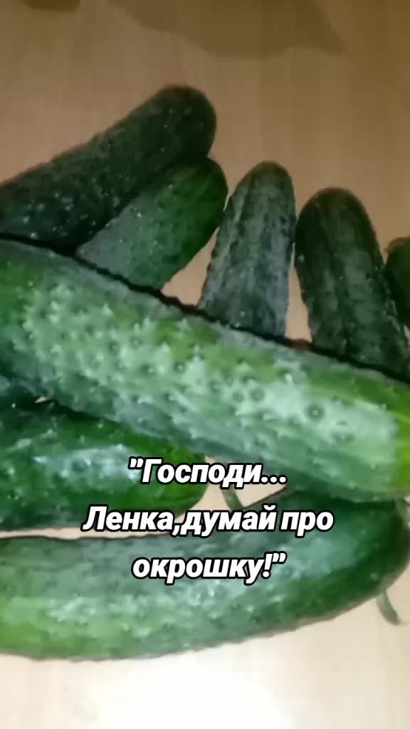 @токсичная2412