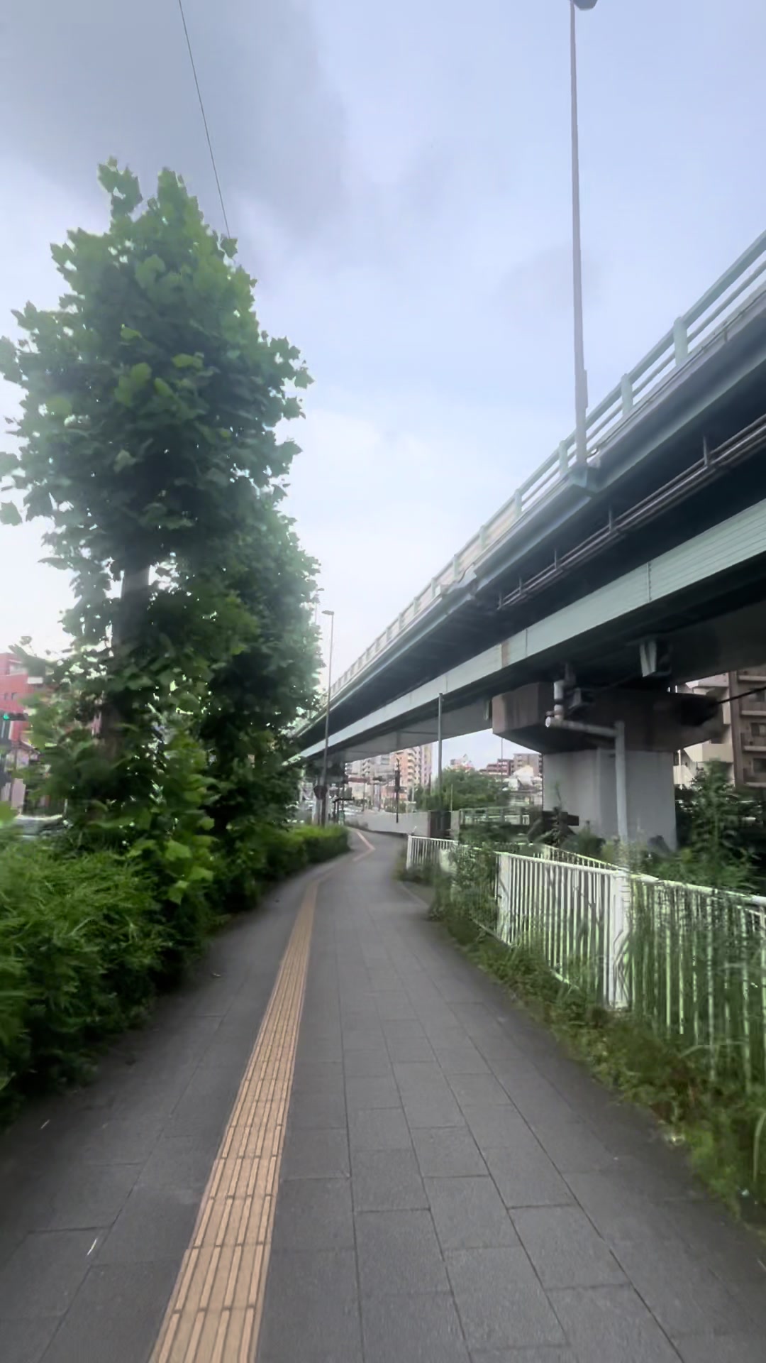 @華恋☆