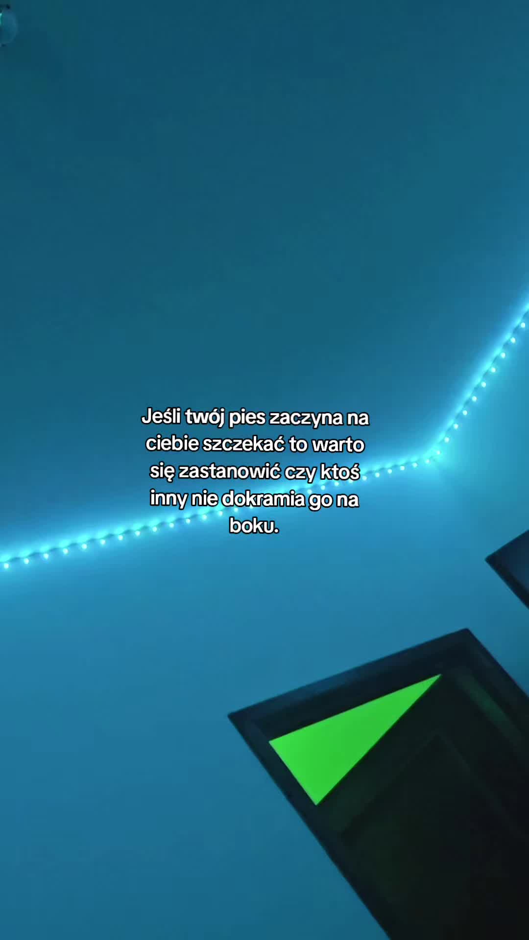 @Żmija
