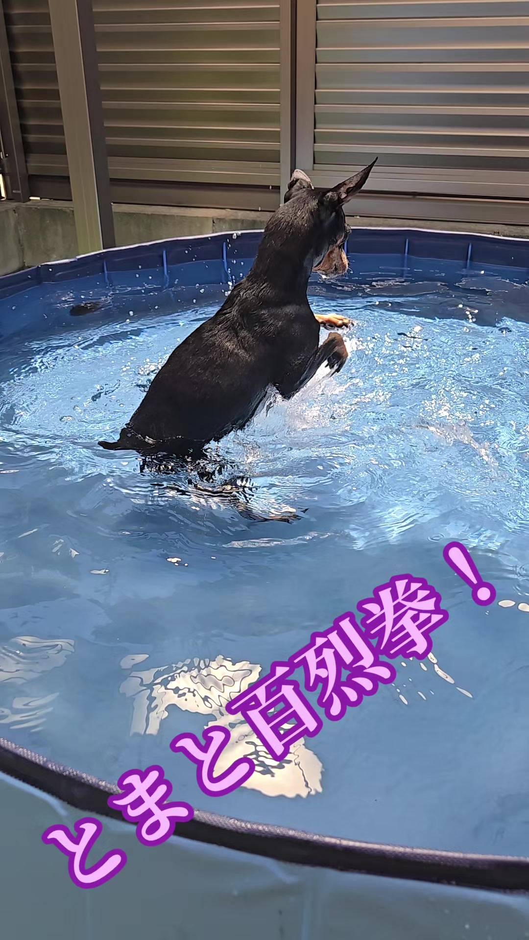 @ðããã¢ð