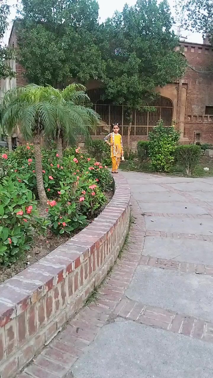 @Salman Mughal🤗