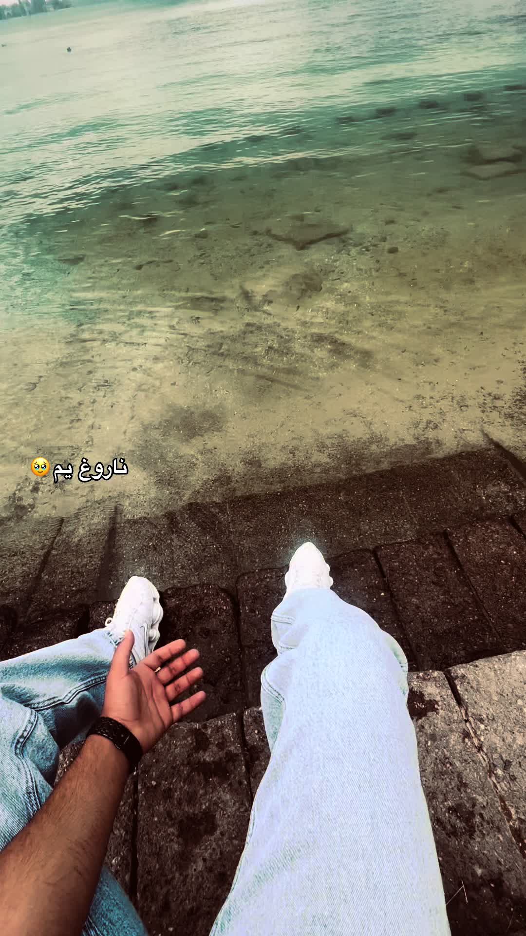 @🐊 ོ