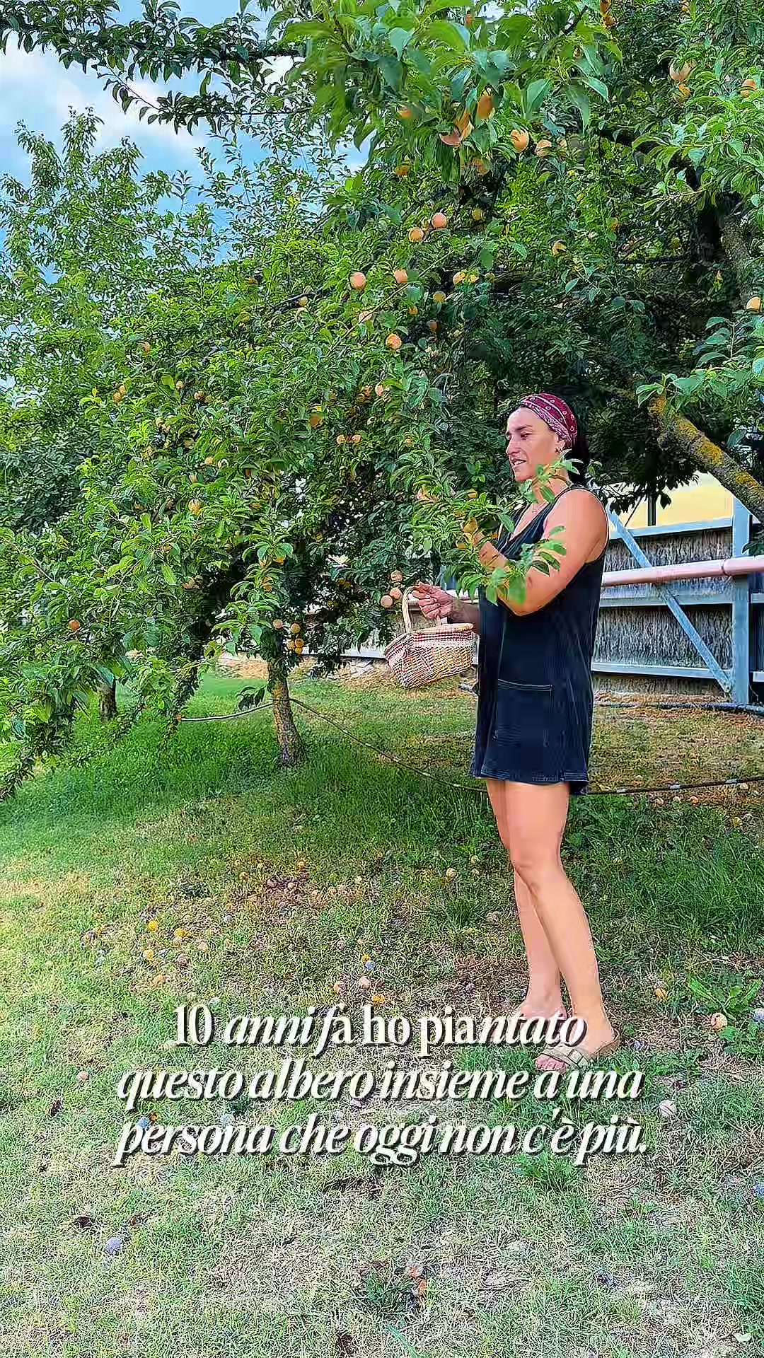 @Federica