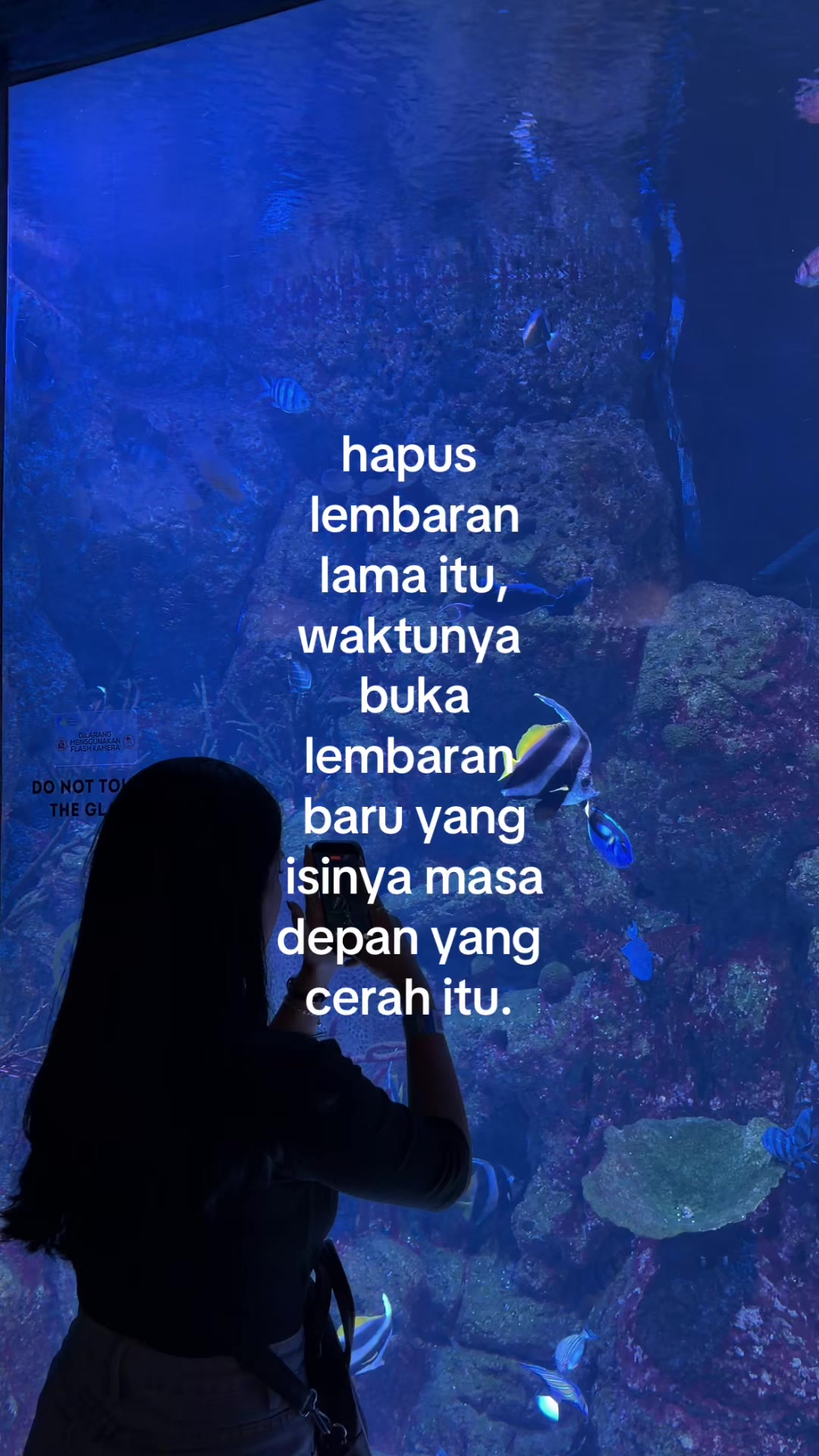 @𝗗𝗶𝗮𝗻𝘆