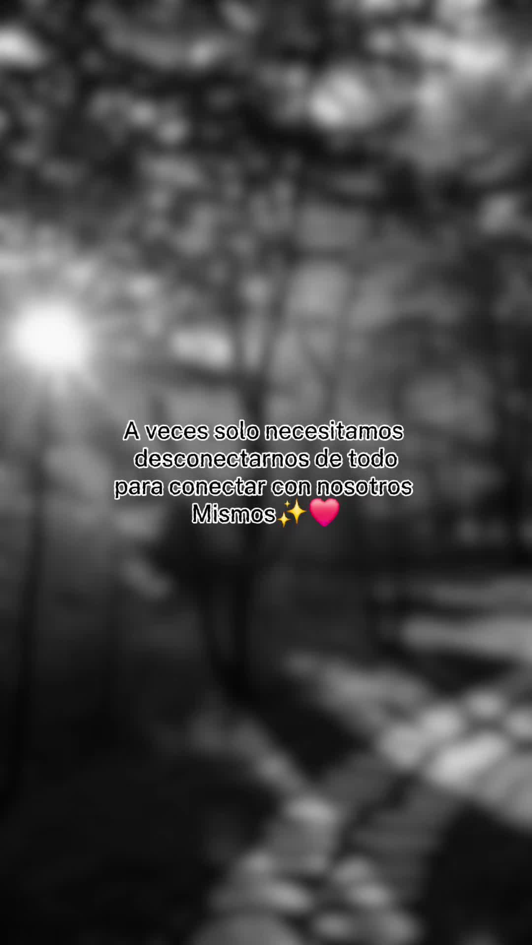 @Maribel 🌻