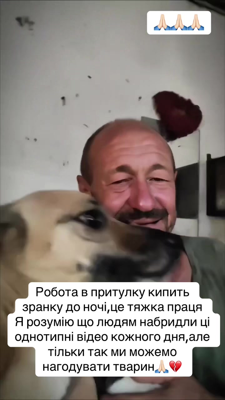 @kvitochki222