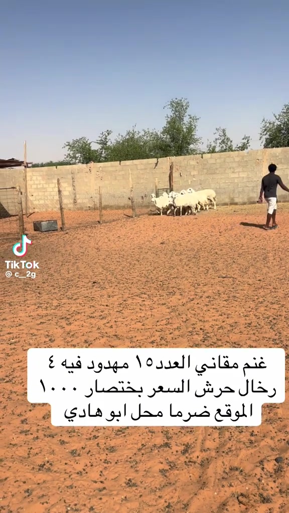 @mohamed_ksa0
