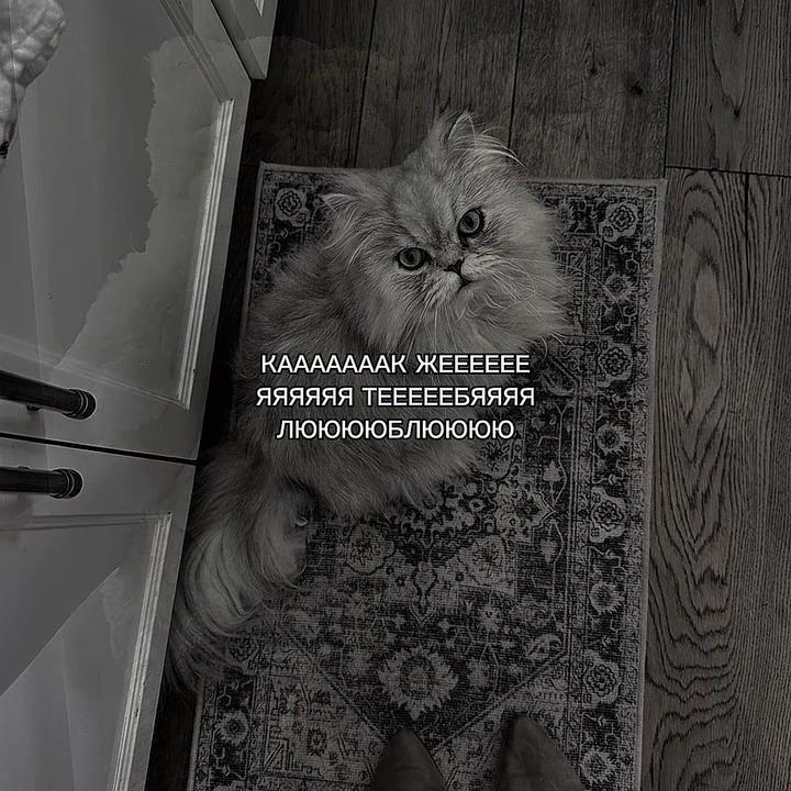 @ХХИКА