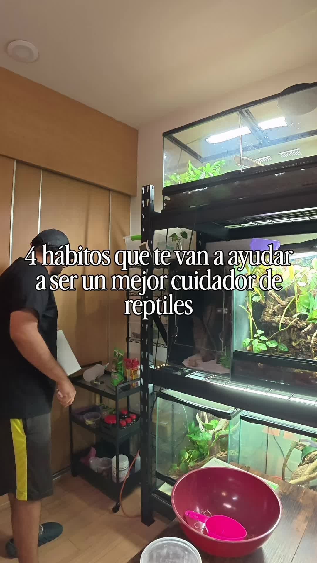 @Reptile Source