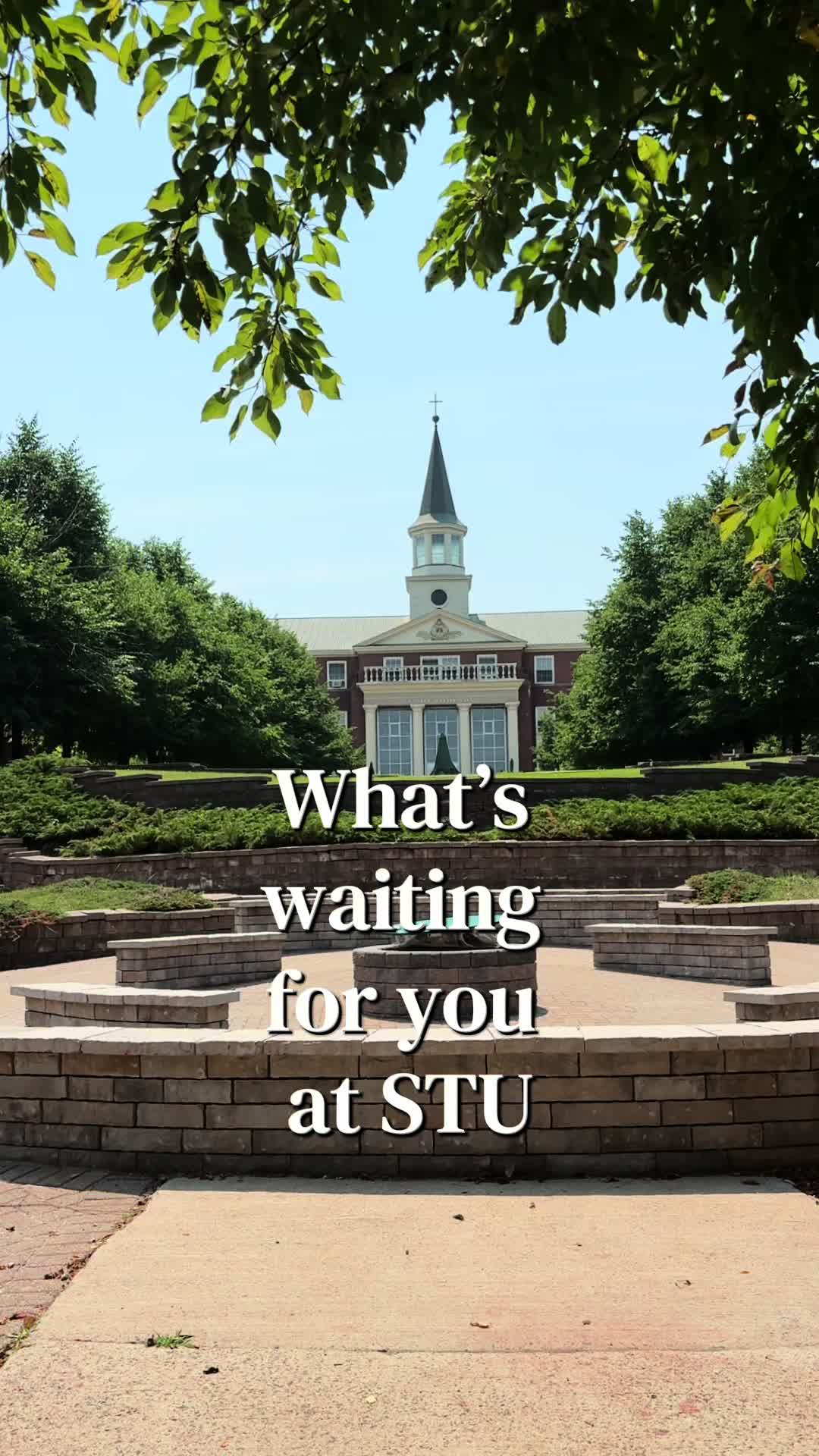 @St. Thomas University