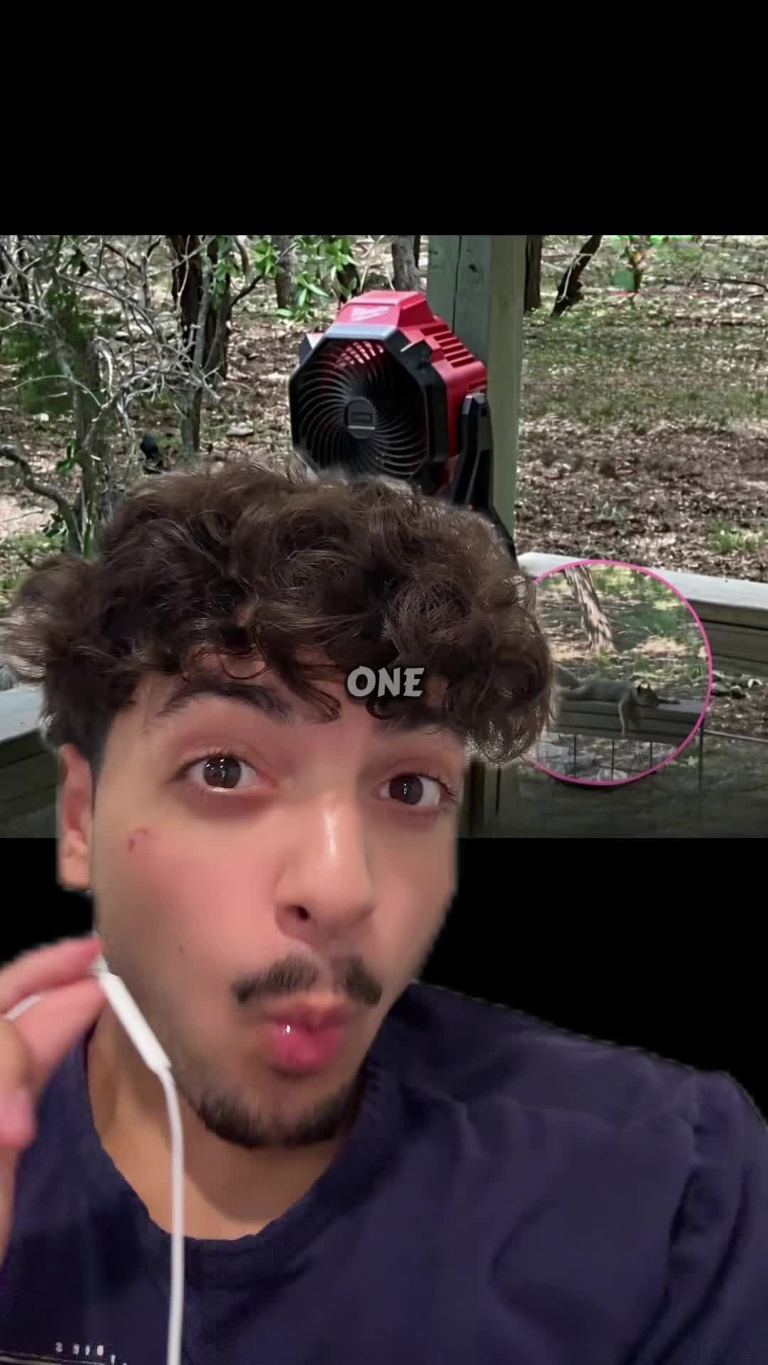 @Sbladn