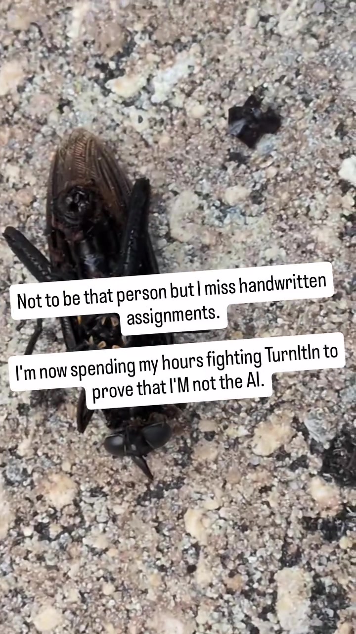 @Izzie🦎