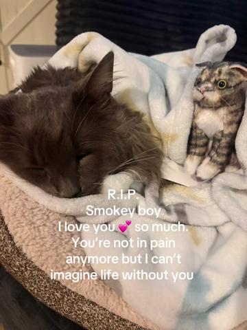 @Sonnyboy 🐈 Staci RN