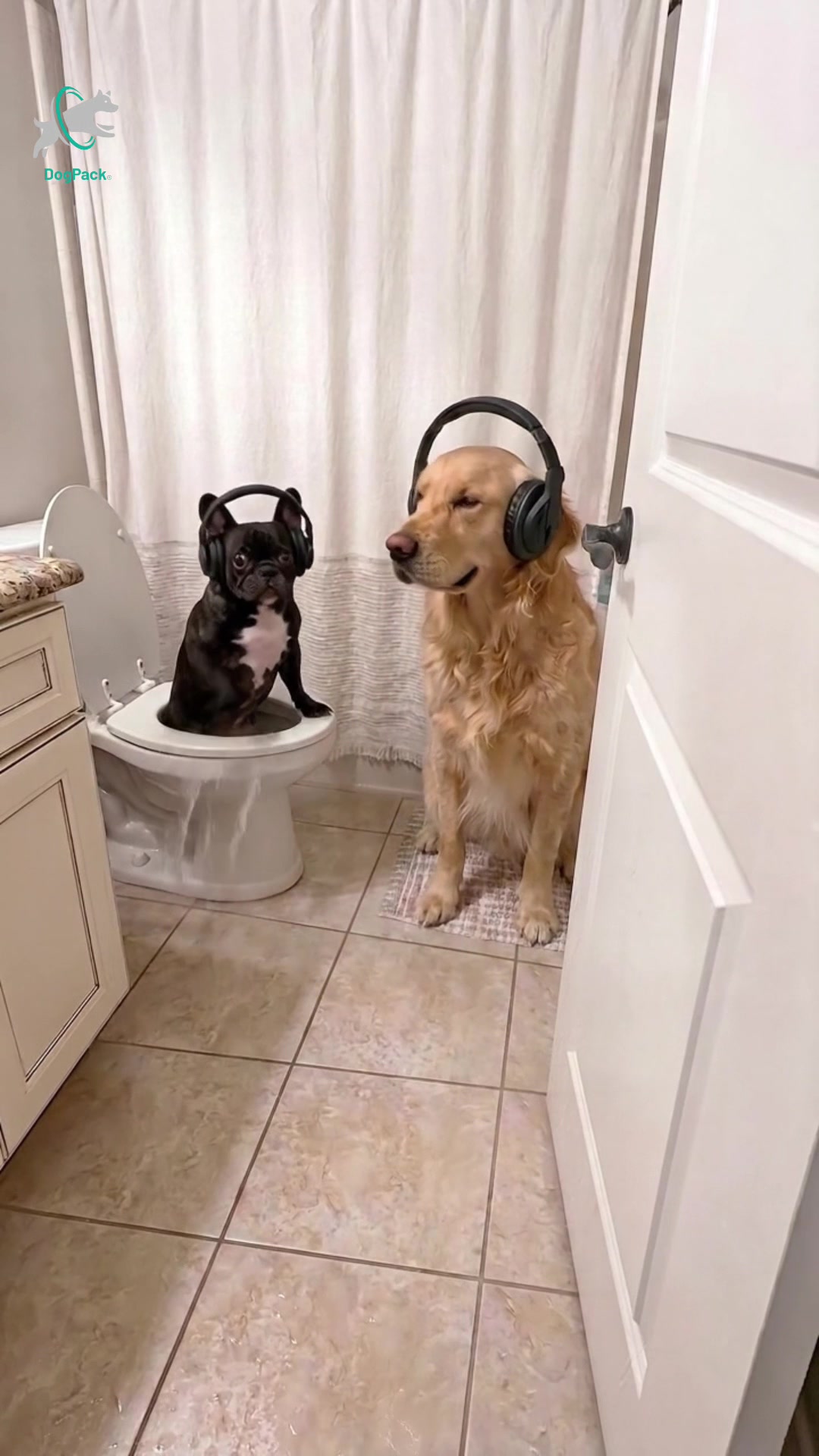 @DogPack