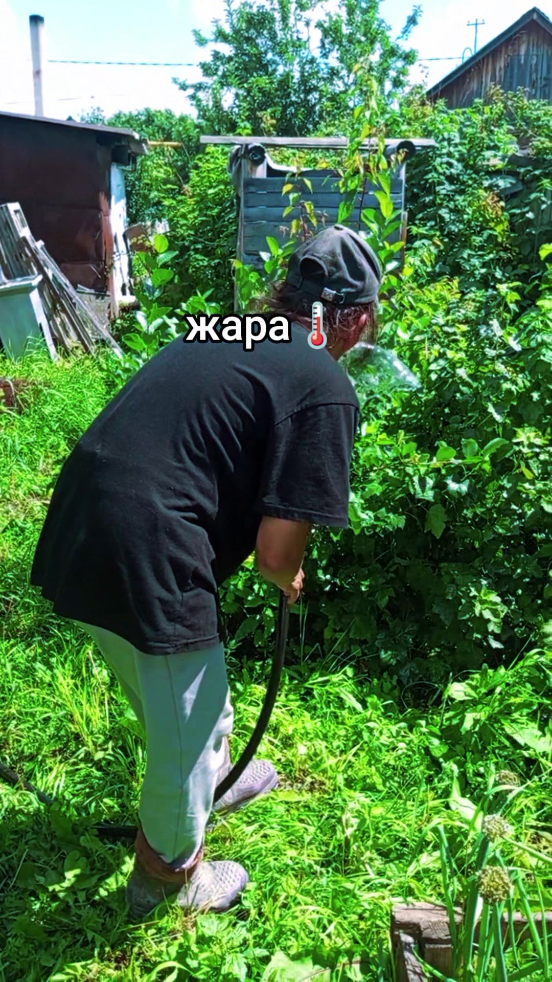 @user278533368490камета