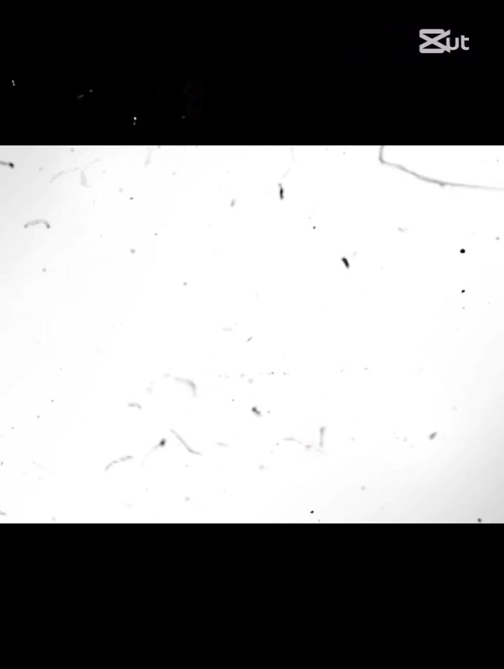 @࿇𝓢𝓲𝓭𝓭𝓱𝓪𝓻𝓽𝓱𝓸 𝓡𝓸𝔂 ࿇