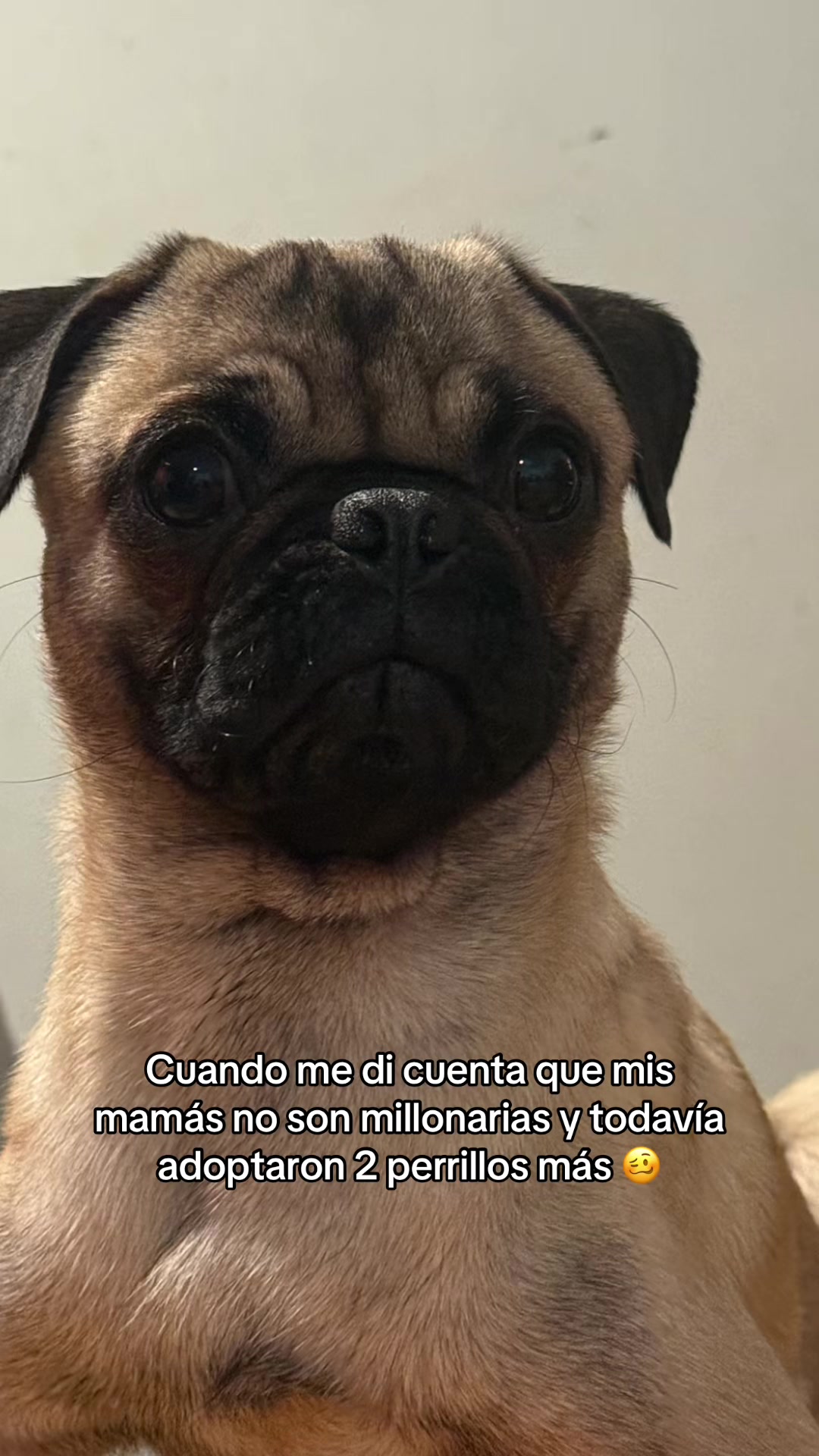 @Cristy 🦦