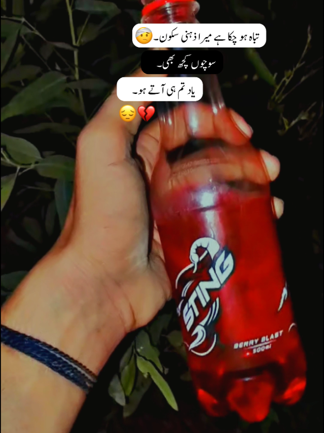 @⚠️❌چـدھـڑ بـادشــاہ❌⚠️