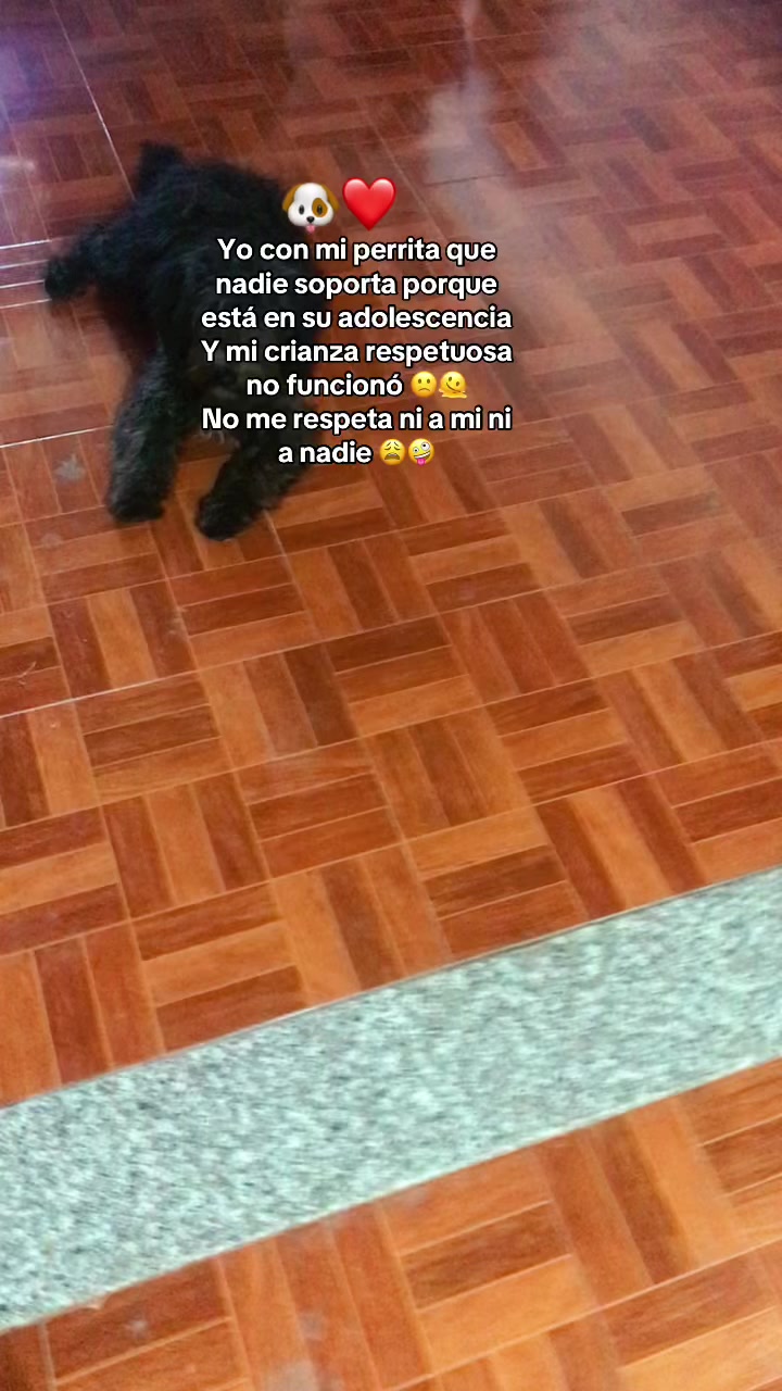 @Lucy