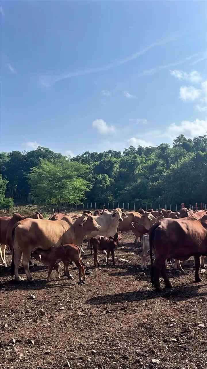 @Rancho Piedra Nube