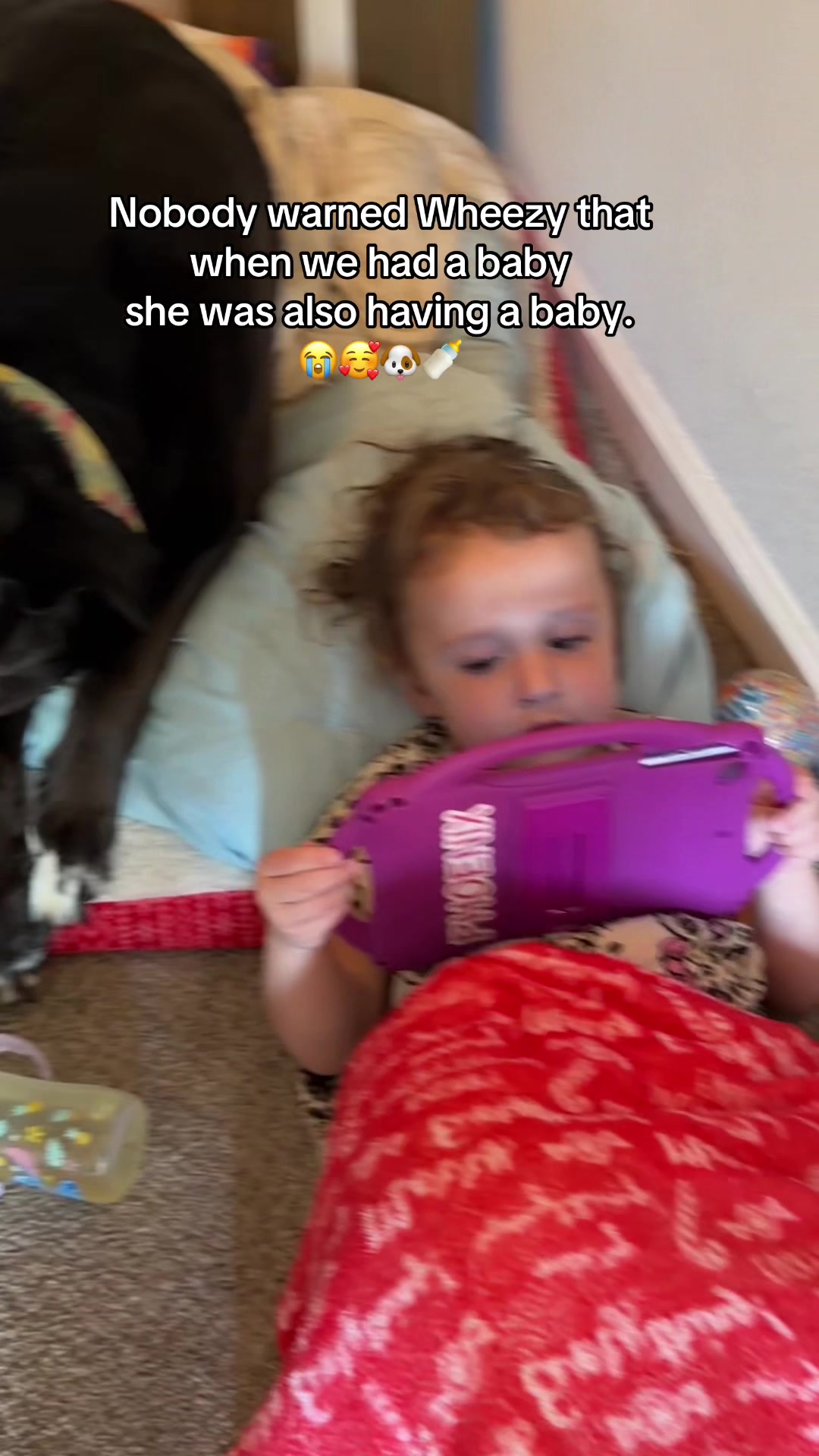 @Phoenixmommy23