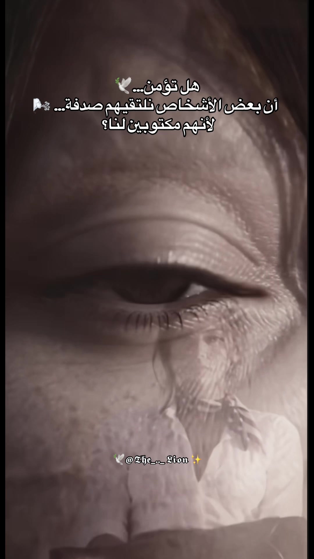 @The Lion 🪽 خاطره في دفتري