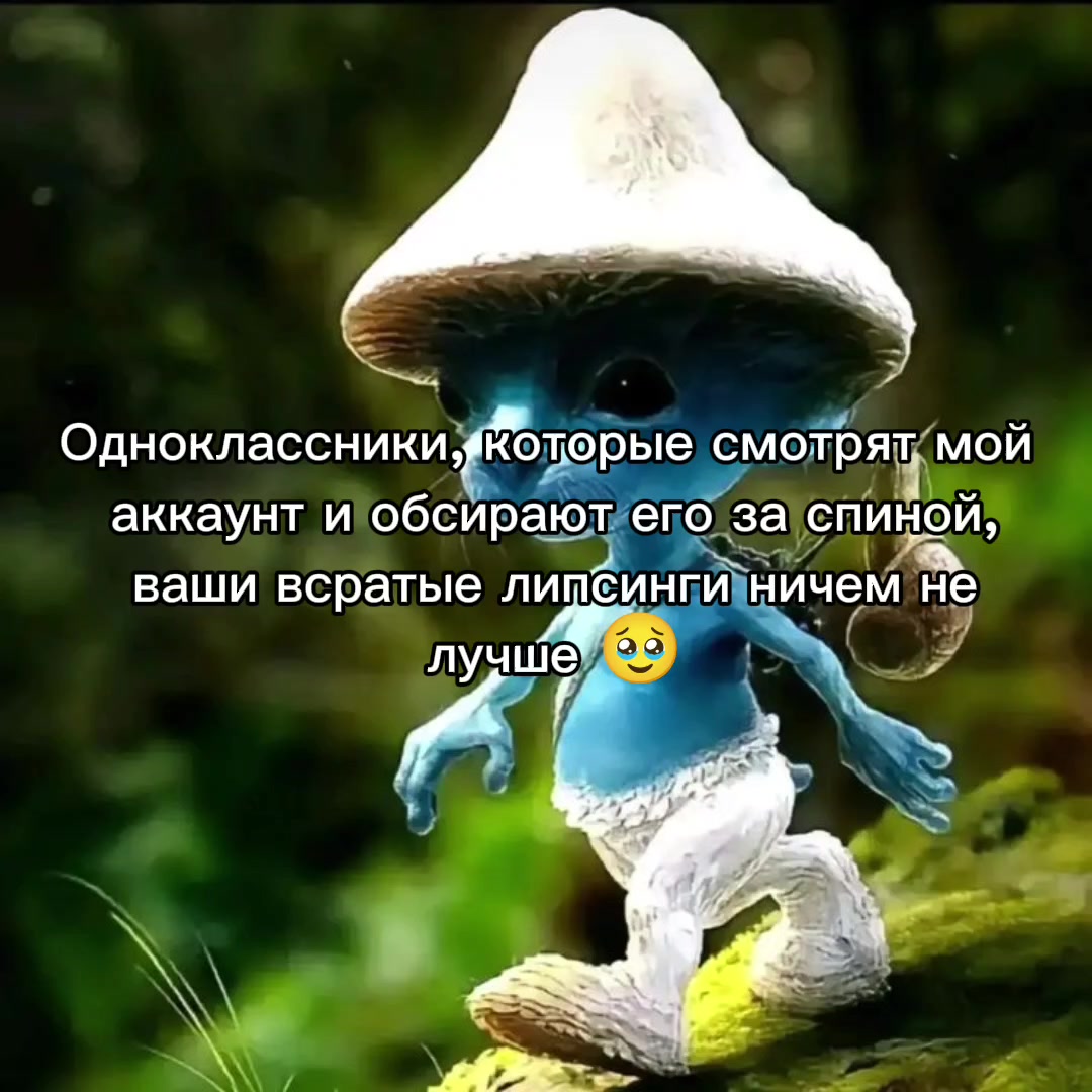 @Мурка
