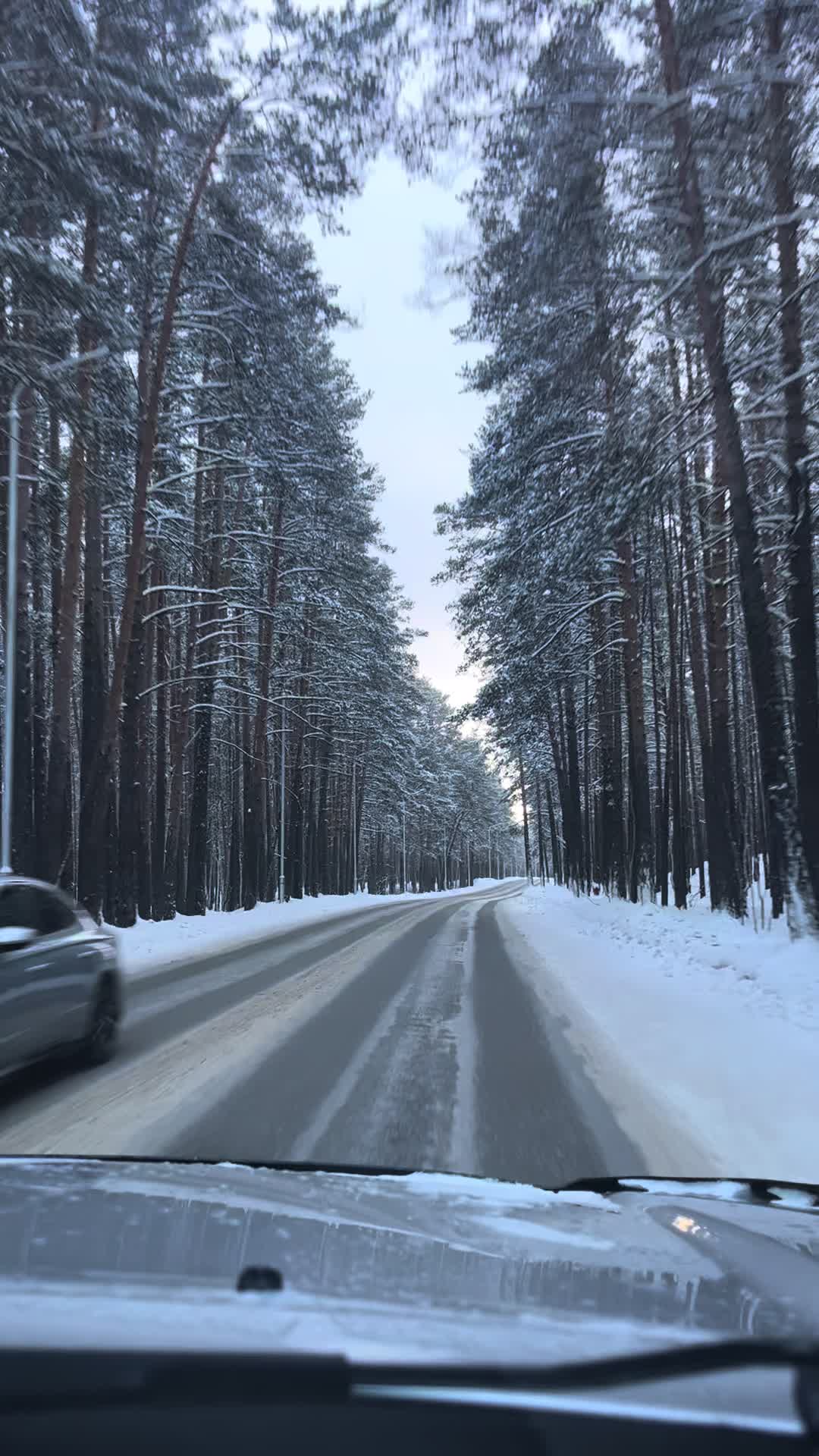 @Аренда апартаментов в Боровом.