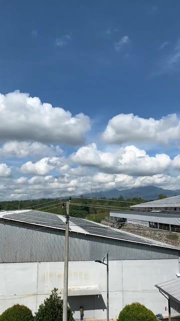 @ym pangkas