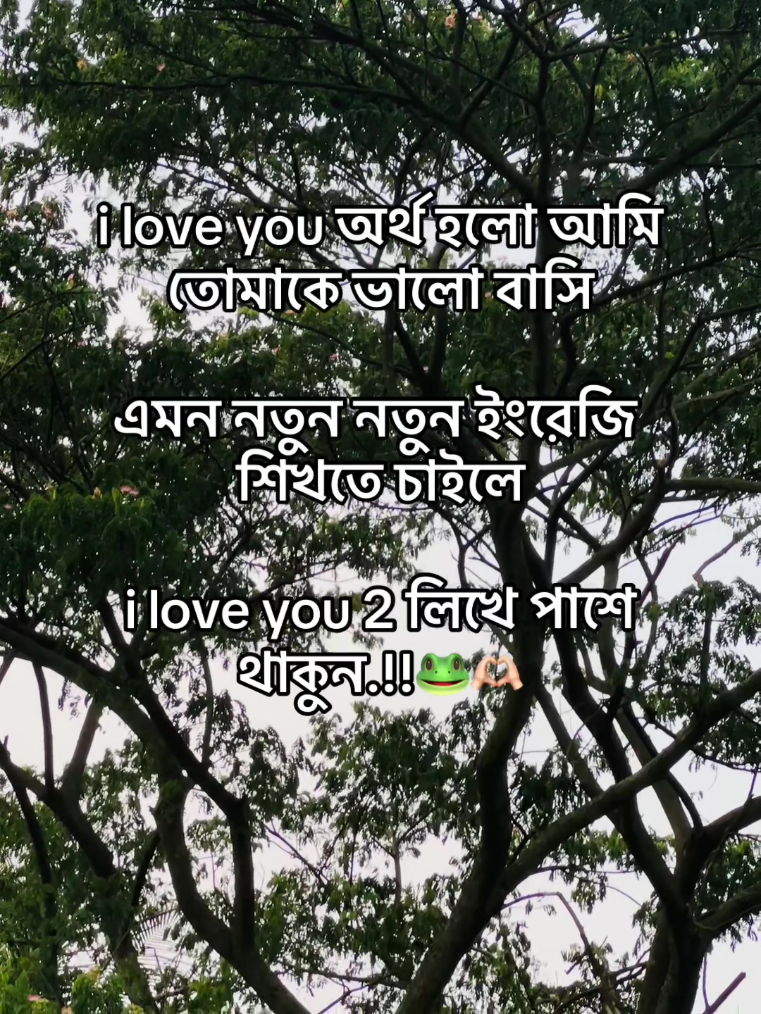 @টিক-টিকি