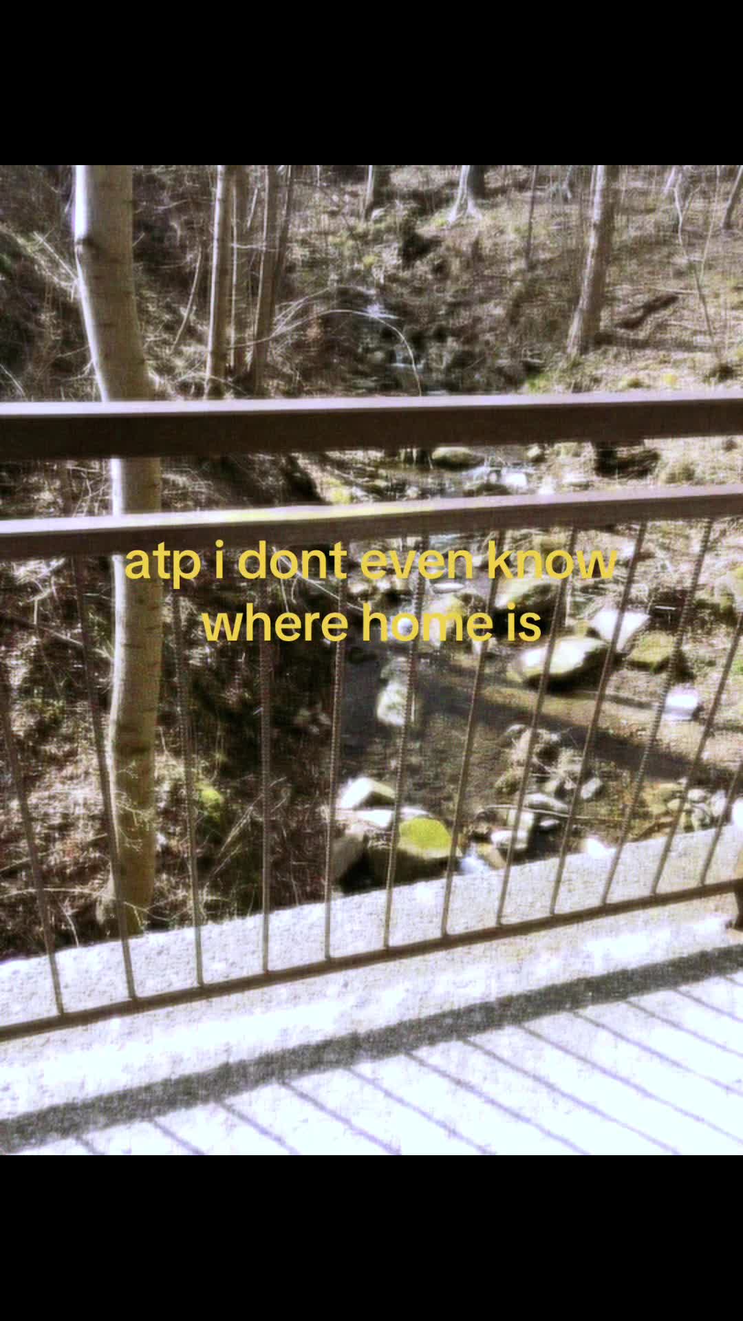 @tosia🪽🦤💟